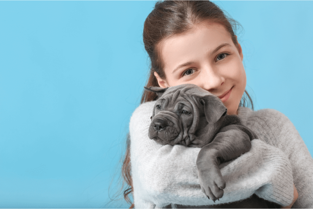 new puppy care