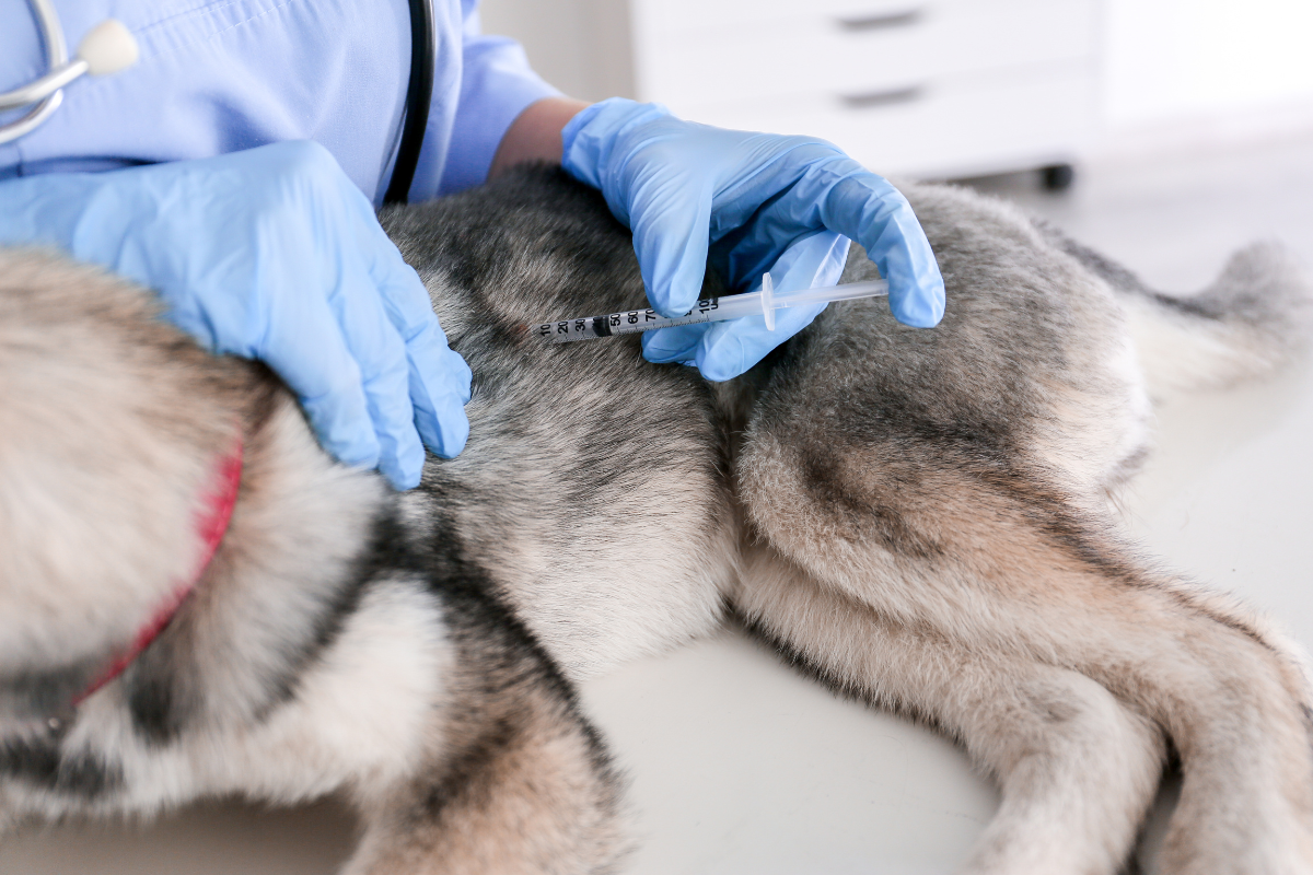 National Immunization Awareness