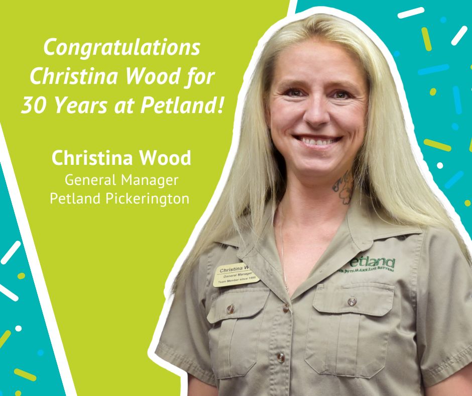 Christina Wood