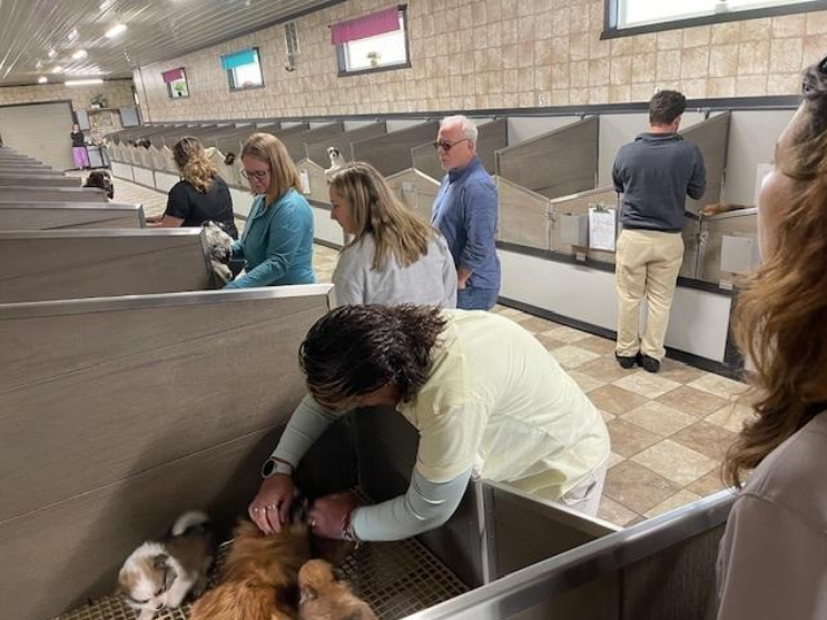 Petland staff and veterinarians