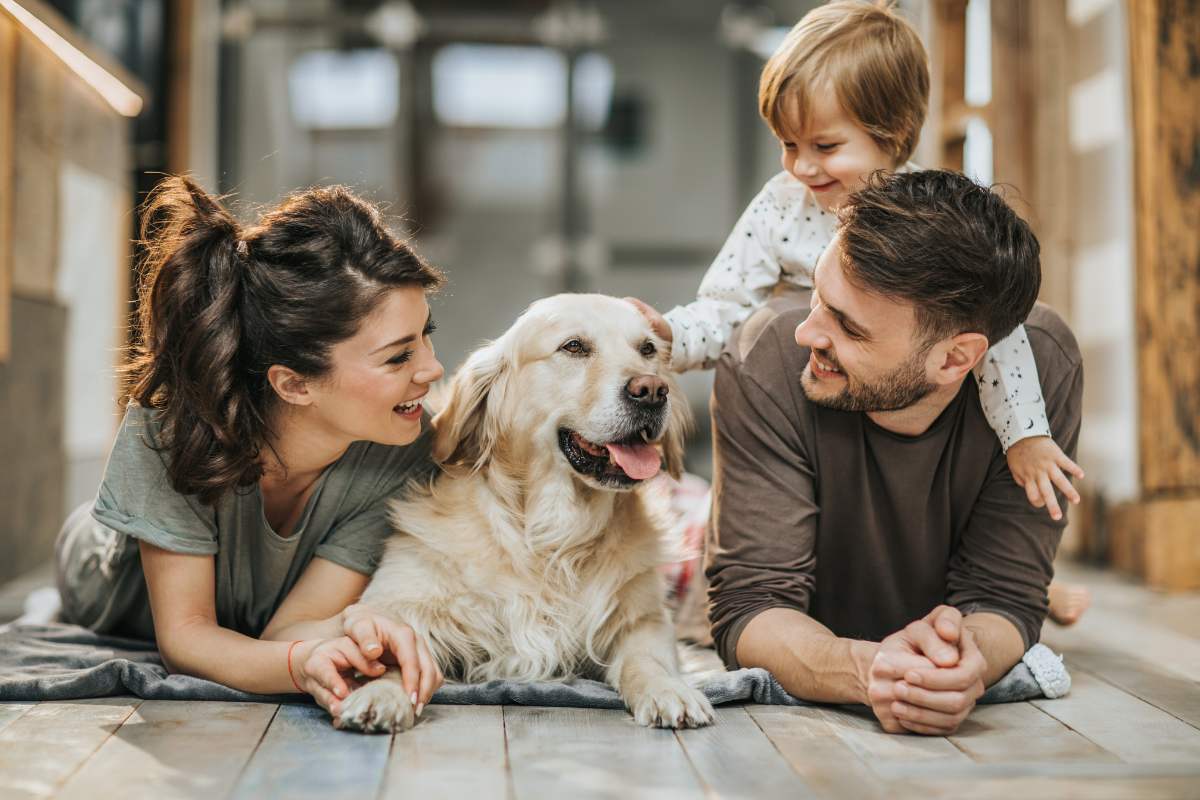 family-friendly dog breeds